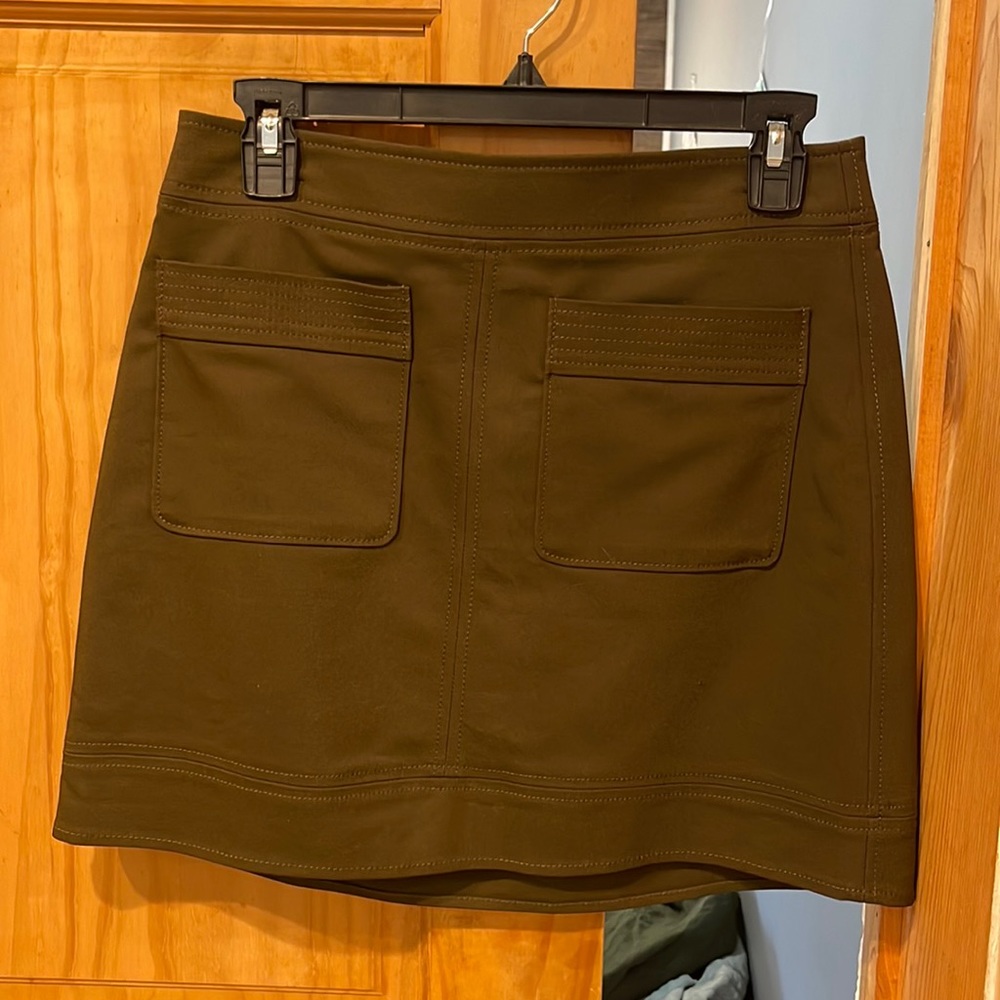 Brand New Express Skirt